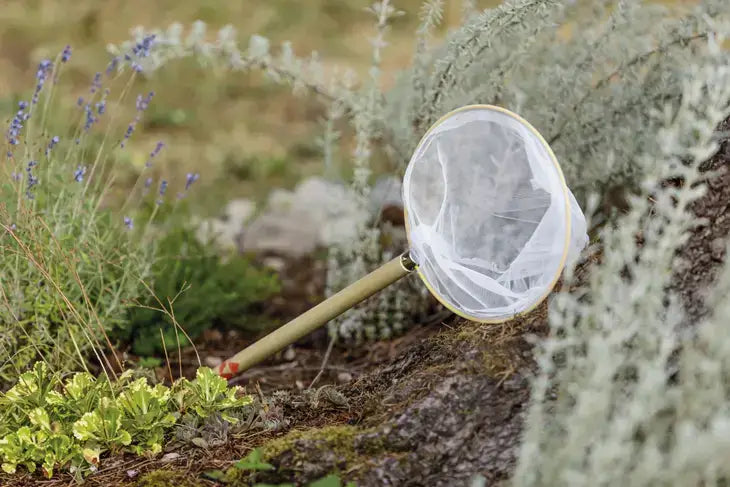Beetle & Bee Butterfly Net