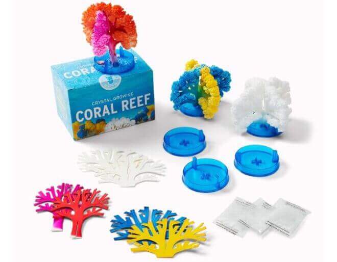 Crystal Growing: Coral Reef Science Kit