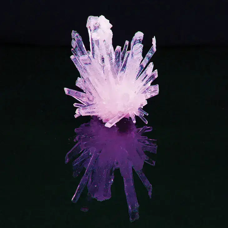 Growing Crystals Science Kit