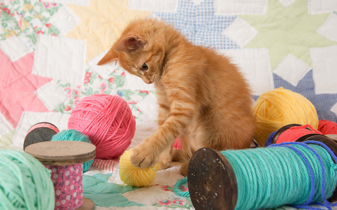 Kitty Plays Ball 300 Piece Puzzle