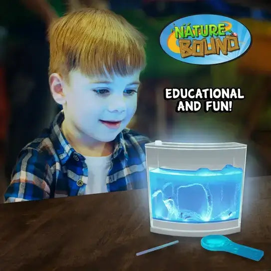 Light-Up Ant Habitat
