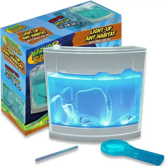 Light-Up Ant Habitat
