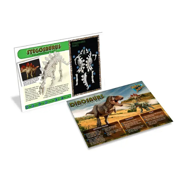 Stegosaurus Palaeontology Dig Kit