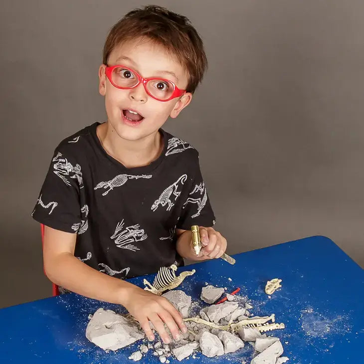 Stegosaurus Palaeontology Dig Kit