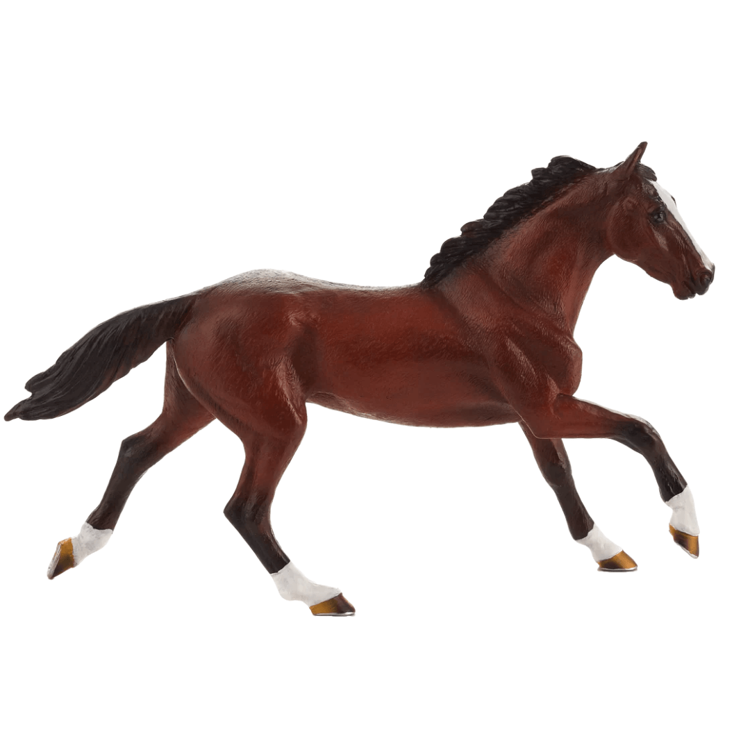 Thoroughbred Figure