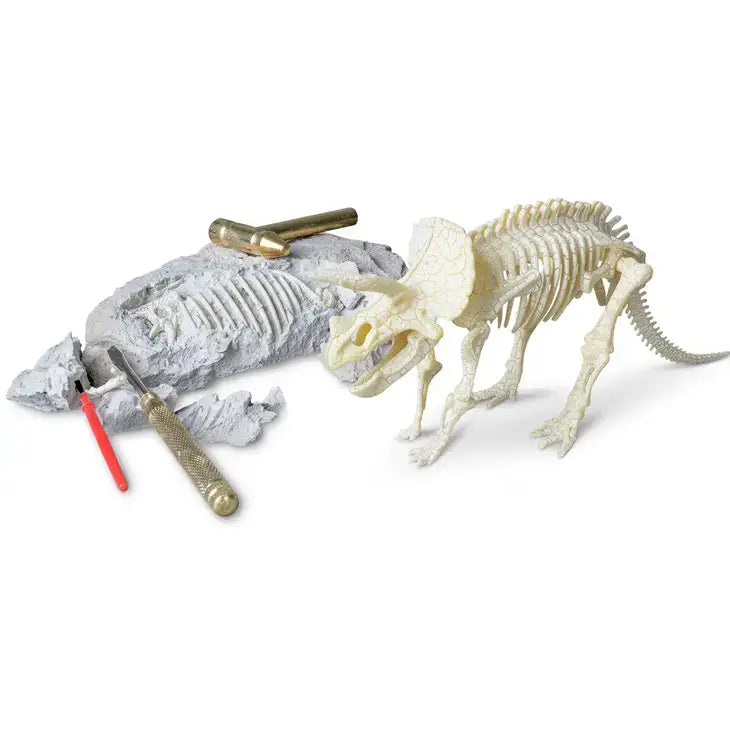 Triceratops Paleontology Dig Kit