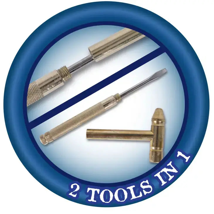 Triceratops Paleontology Dig Kit