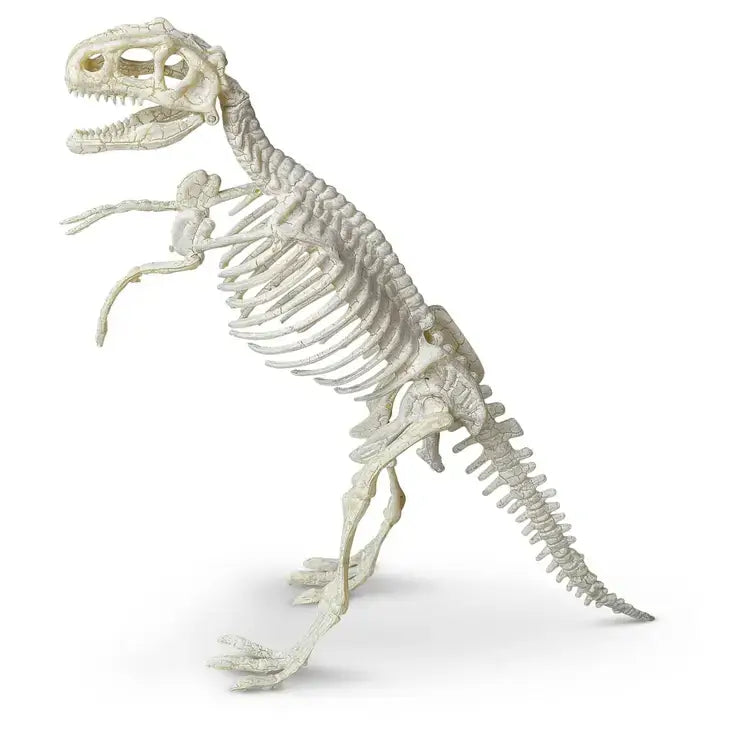 Tyrannosaurus Paleontology Dig Kit