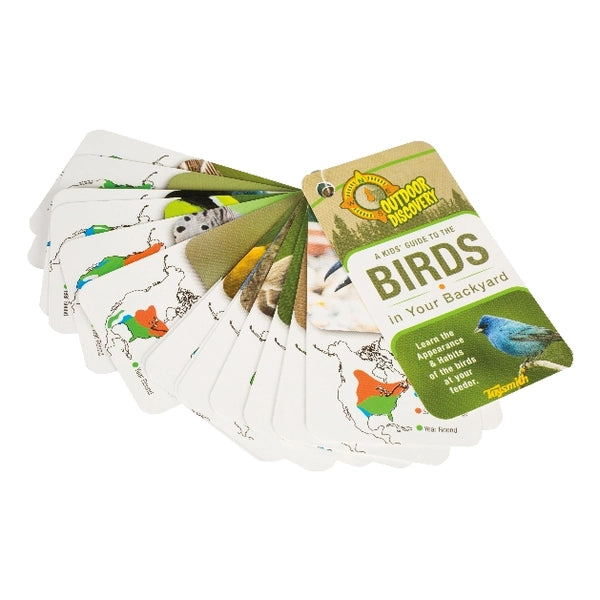 Little Birder Activity Set