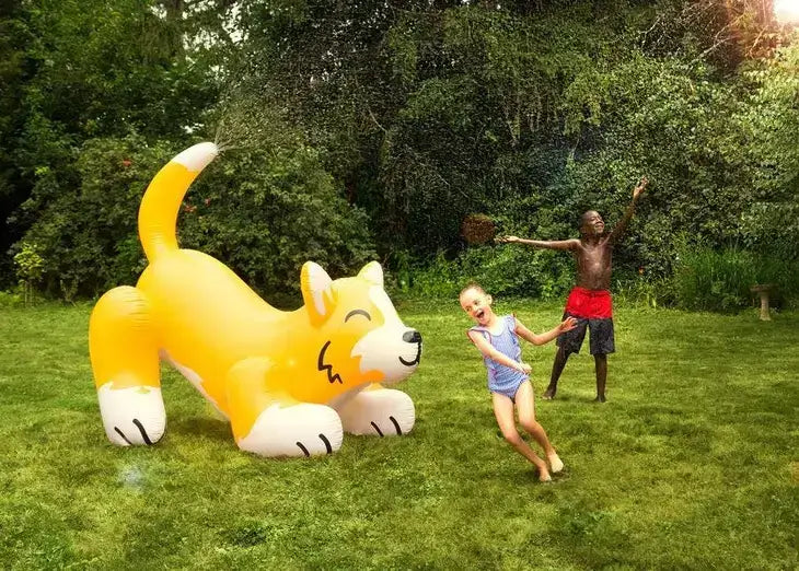 Massive Corgi Sprinkler