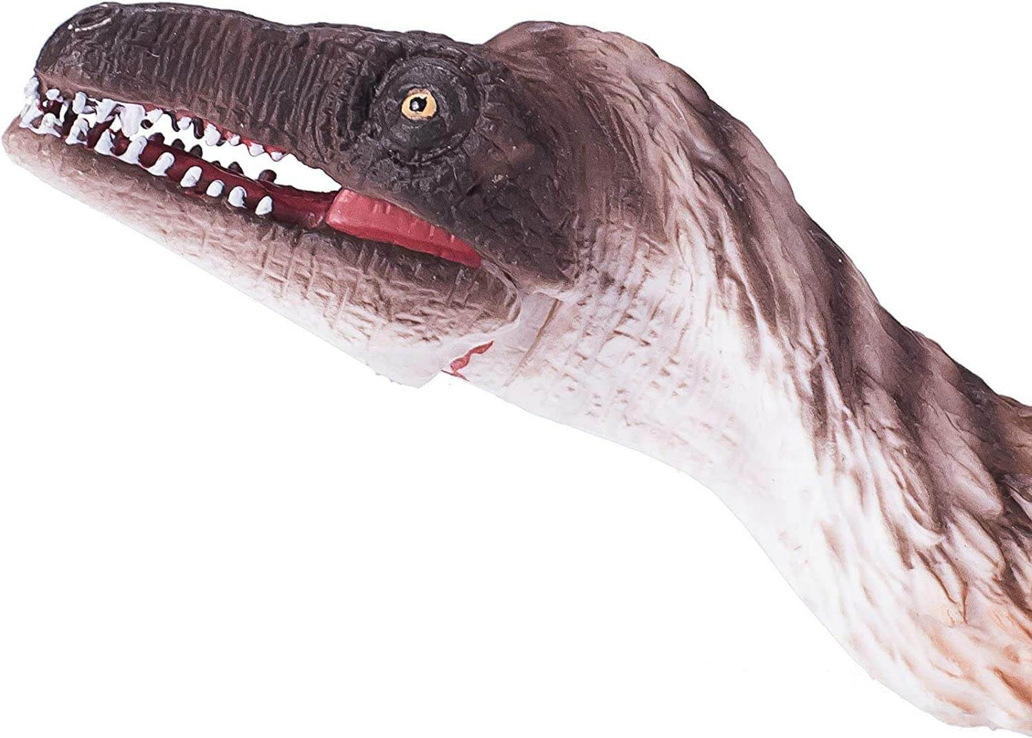 Troodon with Articulated Jaw Figure