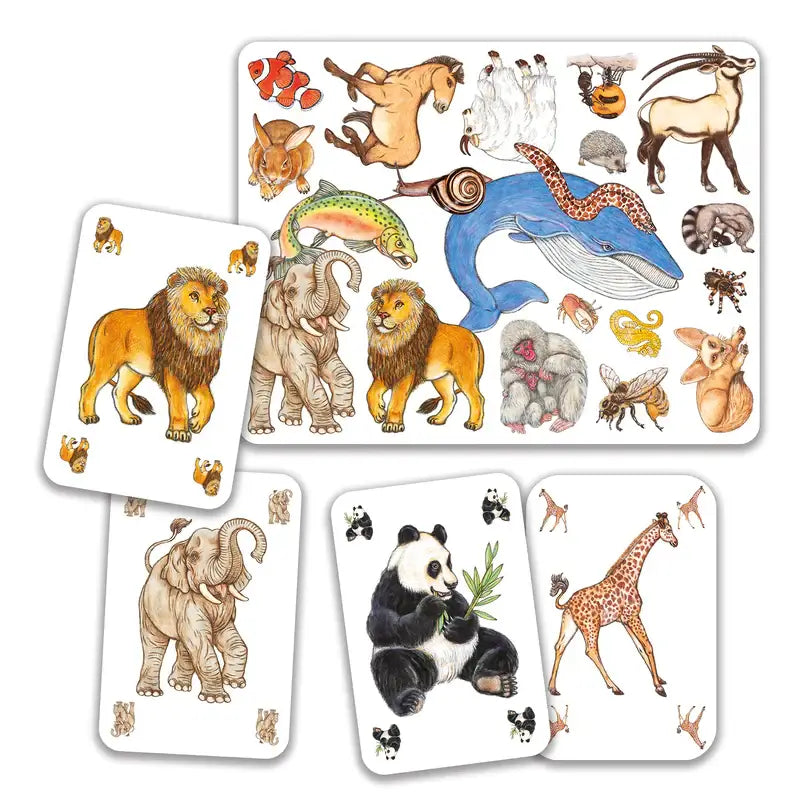 Zanimatch Observation Card Game Kids 5+