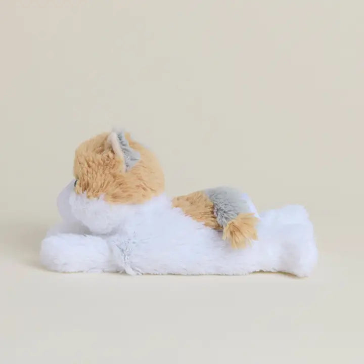 Calico Cat Warmies Junior