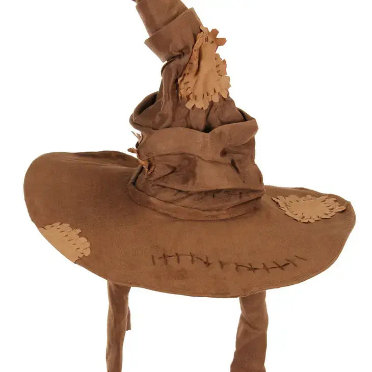Harry Potter Sorting Hat Puppetry 