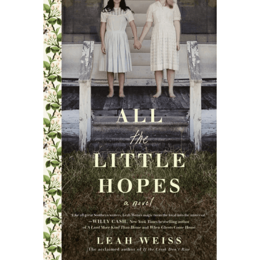 All the Little Hopes Adult Novel