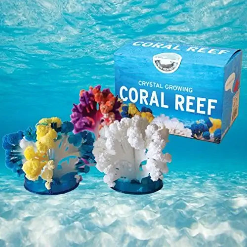 Crystal Growing: Coral Reef Science Kit