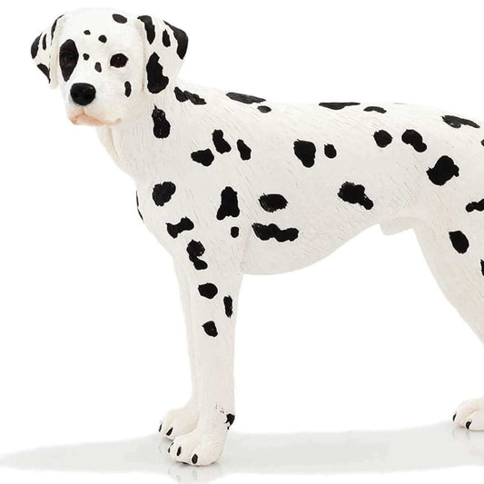 Dalmatian Figure 