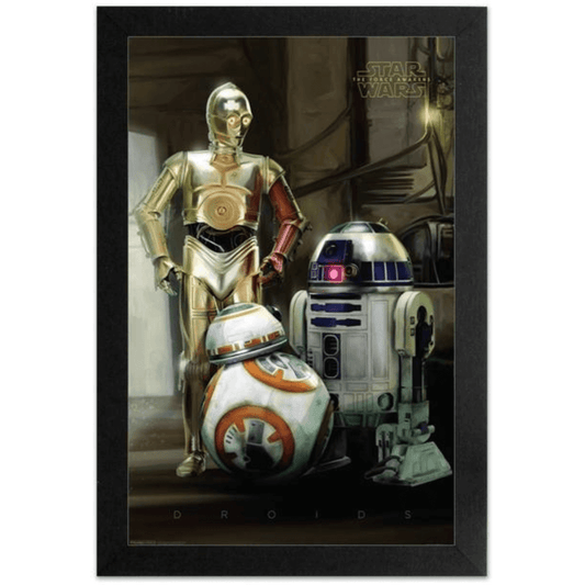 Star Wars Droids 3D Lenticular Framed Print