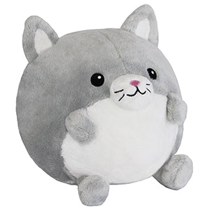 Undercover Squishable Kitty in Dragon Plush