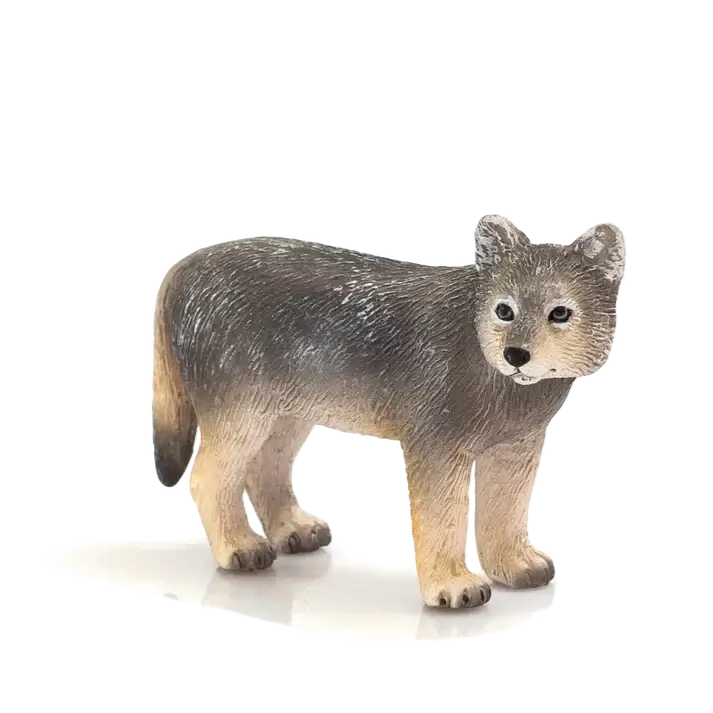 Timber Wolf Cub