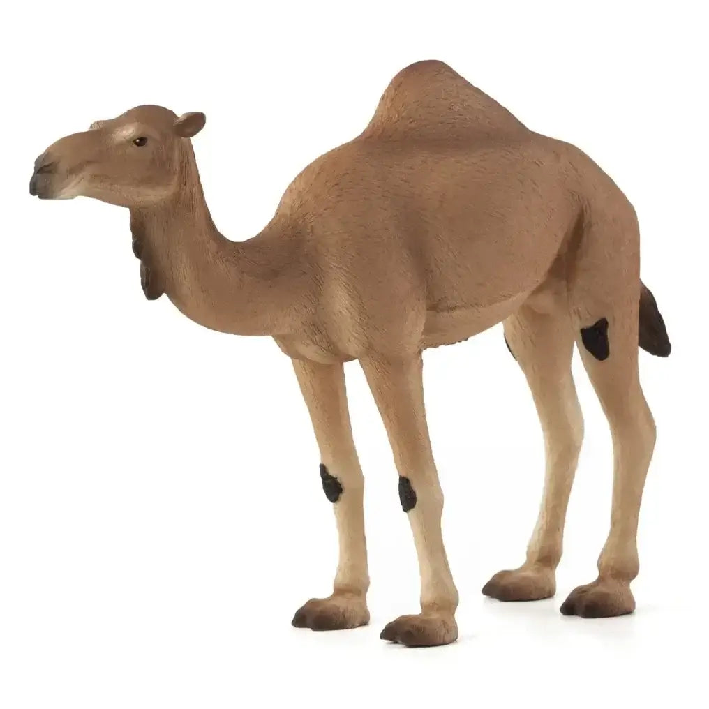 Arabian Camel Figurine