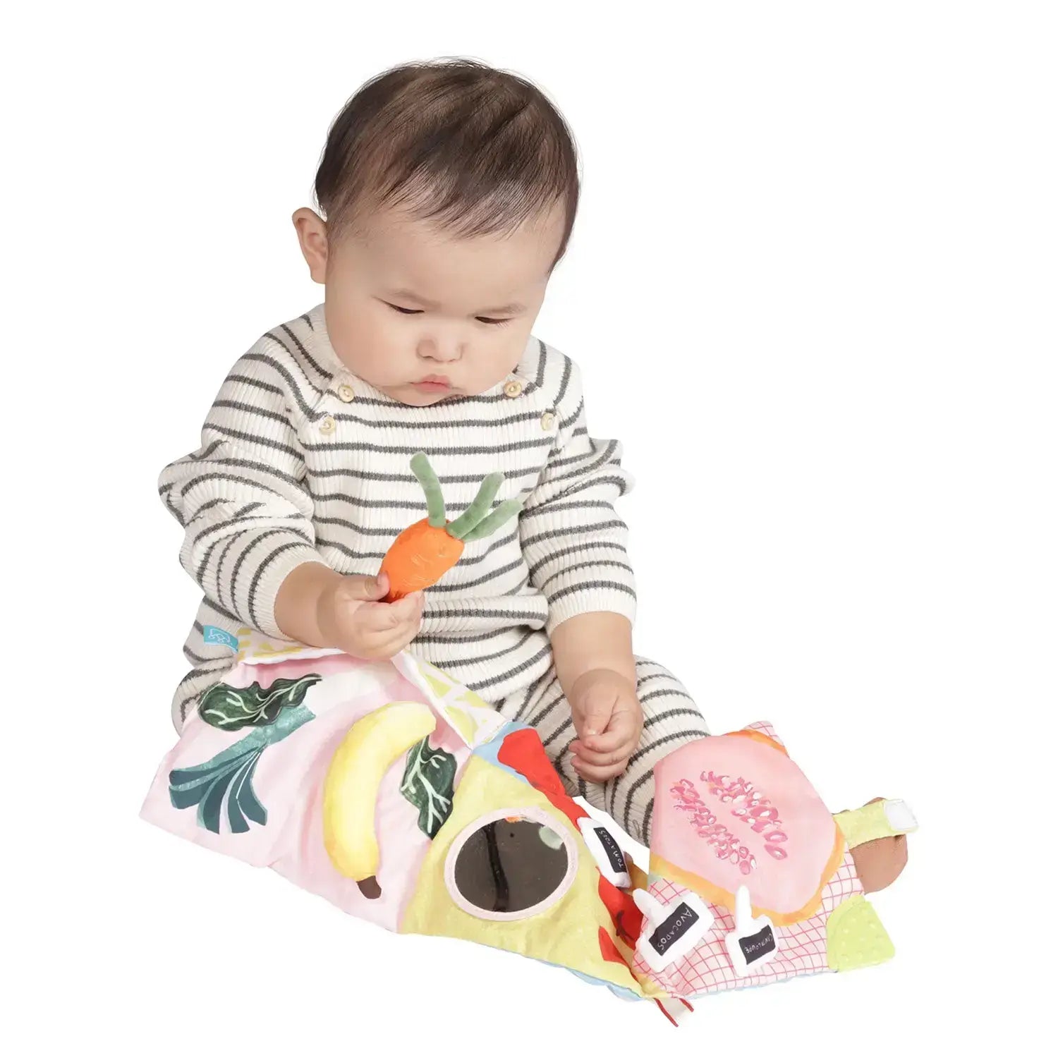 Mini-Apple Farm Fabric Baby Book