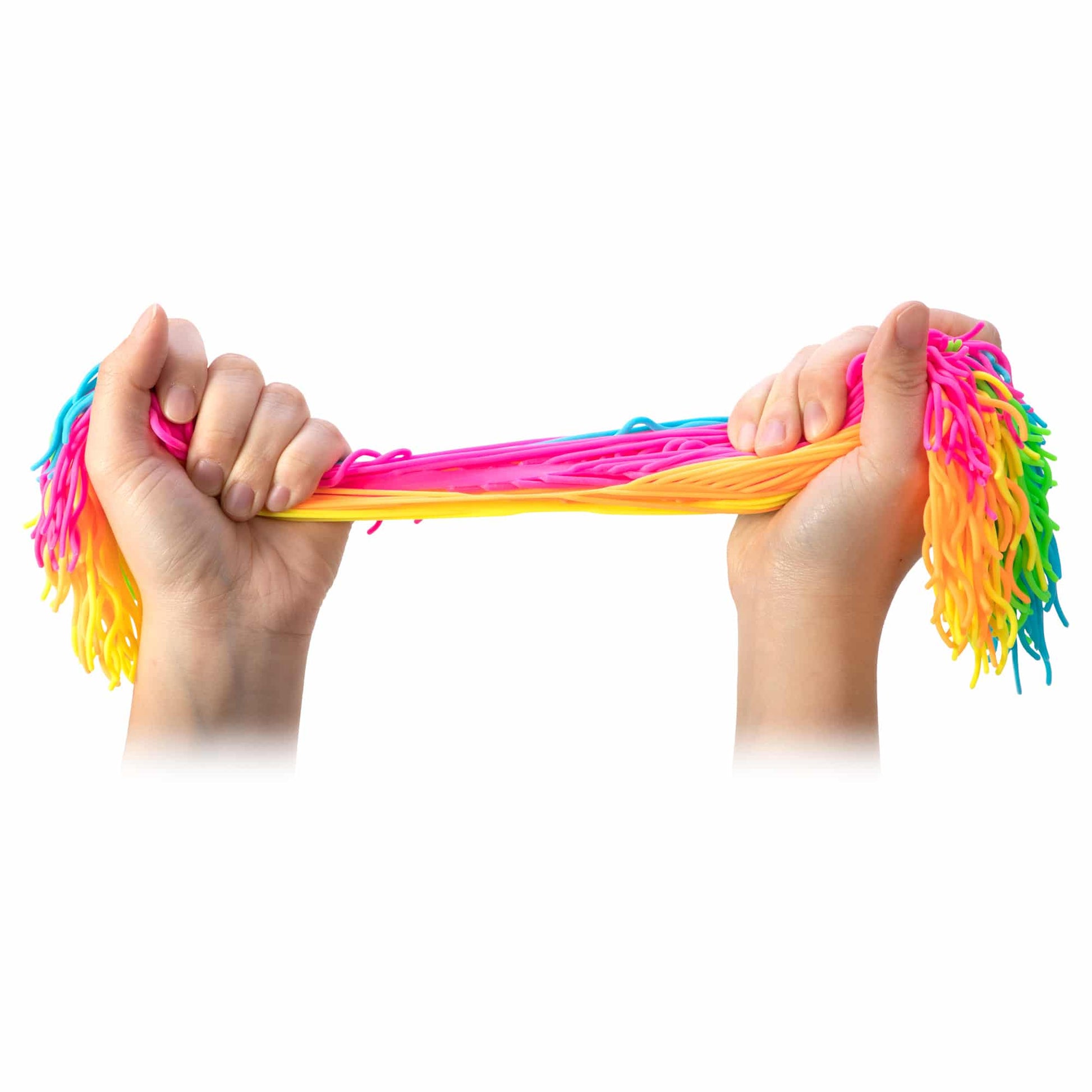 Ramen Noodlies Fidget toy