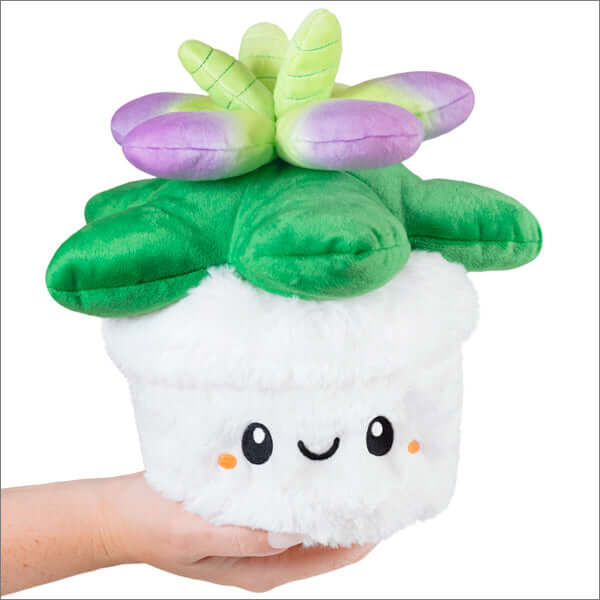 Mini Squishable Succulent Plush