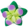 Mini Squishable Succulent Plush
